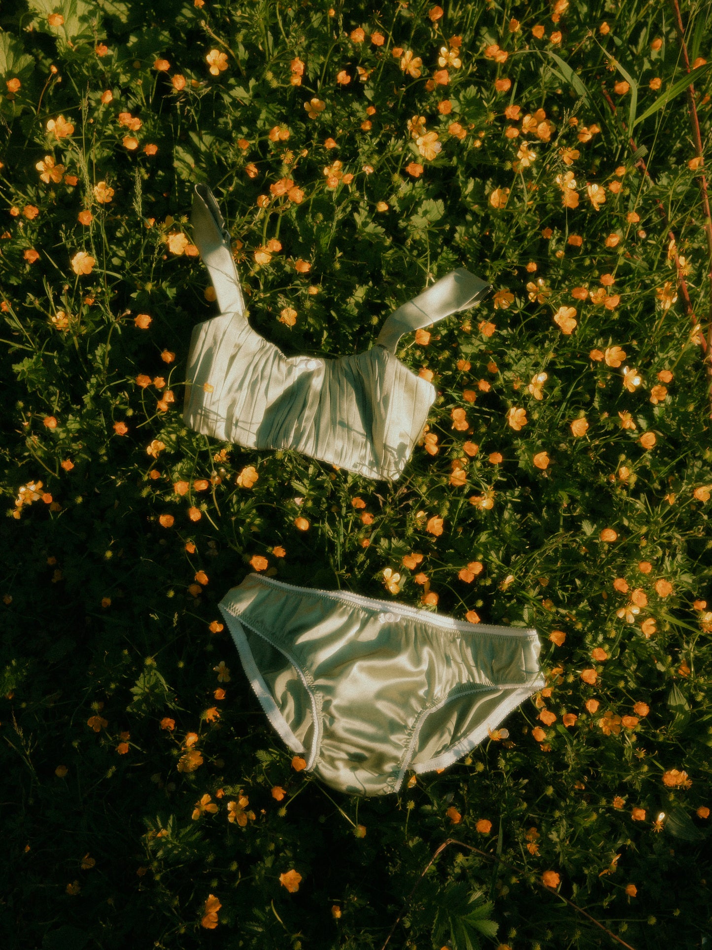 Elinor Undies